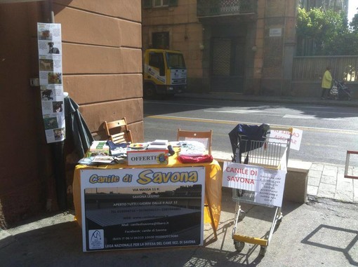 Savona: oggi raccolta di cibo ed offerte per i nostri amici a 4 zampe Savona: oggi raccolta di cibo ed offerte per i nostri amici a 4 zampe