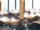 Celle, al via il bando per l’affitto del noto ristorante Gemma Celle, al via il bando per l’affitto del noto ristorante Gemma