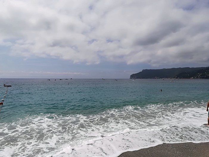 Raccolta della plastica in mare a Spotorno, in atto l'intervento della Capitaneria di Porto e della Polizia Marittima Raccolta della plastica in mare a Spotorno, in atto l'intervento della Capitaneria di Porto e della Polizia Marittima