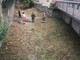 Celle, taglio selettivo della vegetazione e rimozione dei rifiuti urbani nel rio Sanda Celle, taglio selettivo della vegetazione e rimozione dei rifiuti urbani nel rio Sanda