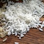 Giornata della ristorazione, ad Albenga Confcommercio Savona e Fipe organizzano un convegno: ingrediente simbolo del 2026 il riso