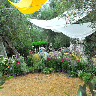 Ad Andora arriva la XIX edizione della “Fsta delle erbe aromatiche, officinali e antiche piante”