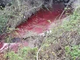 Cairo Montenotte, l'acqua del rio Ville si colora di rosso sangue: indagini Arpal per individuare i responsabili