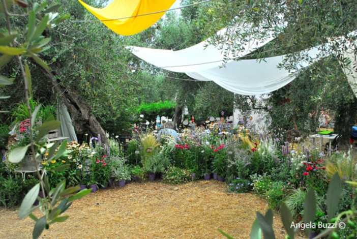 Ad Andora arriva la XIX edizione della “Fsta delle erbe aromatiche, officinali e antiche piante” Ad Andora arriva la XIX edizione della “Fsta delle erbe aromatiche, officinali e antiche piante”