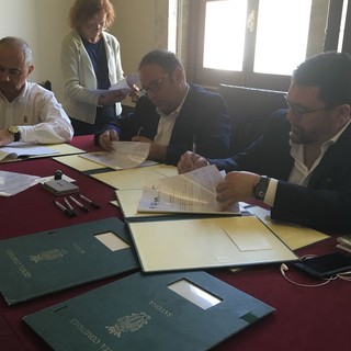 Savona ritorna ad essere “La Città del chinotto”, assessore Ripamonti: “Spazio alla tradizione” Savona ritorna ad essere “La Città del chinotto”, assessore Ripamonti: “Spazio alla tradizione”