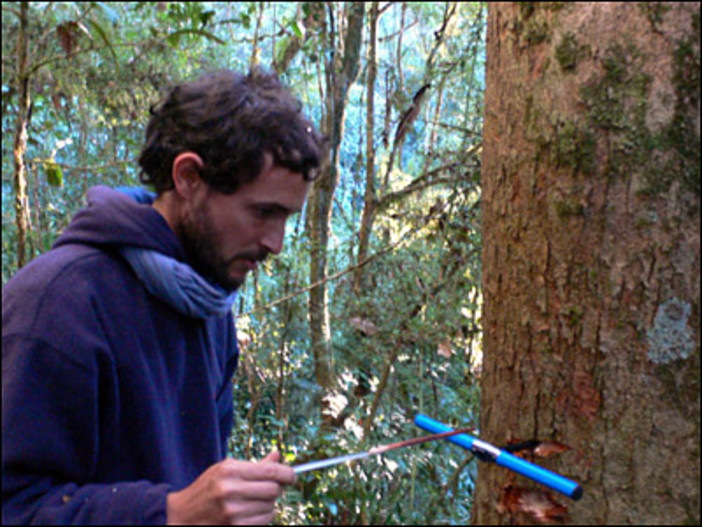 Vado: a Bossarino nasce Tecnoforest per interventi di riforestazione Vado: a Bossarino nasce Tecnoforest per interventi di riforestazione