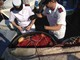 Le spadare di Savona: la Capitaneria sequestra due km di reti illegali (le foto dell'operazione) Le spadare di Savona: la Capitaneria sequestra due km di reti illegali (le foto dell'operazione)