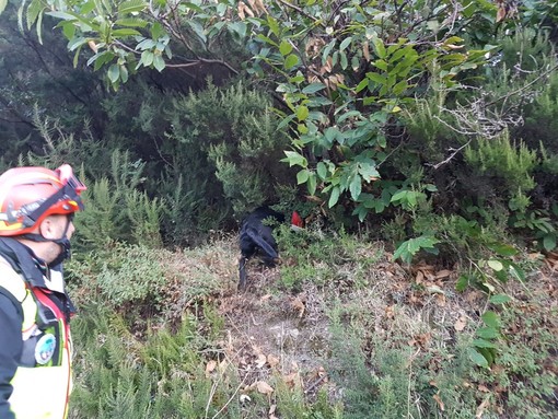 Magliolo, ancora senza esito le ricerche di Luca Catania: giovedi tavolo in Prefettura (FOTO e VIDEO) Magliolo, ancora senza esito le ricerche di Luca Catania: giovedi tavolo in Prefettura (FOTO e VIDEO)