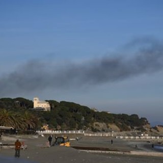 Foto realizzate e concesse da Davide Roncarolo