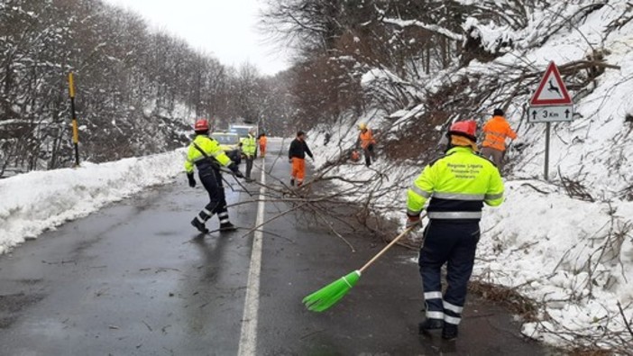 La Dama Bianca potrebbe tornare nel fine settimana a Sassello. Sindaco Buschiazzo: "Nevicata da record la scorsa, abbiamo risposto bene" La Dama Bianca potrebbe tornare nel fine settimana a Sassello. Sindaco Buschiazzo: "Nevicata da record la scorsa, abbiamo risposto bene"