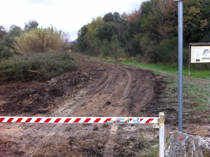 Disboscamento San Bernardino: è scontro tra sportivi, ambientalisti e proprietari dei terreni Disboscamento San Bernardino: è scontro tra sportivi, ambientalisti e proprietari dei terreni