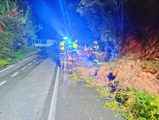 Albisola, frana ad Ellera sulla Sp2, disposto il senso unico alternato Albisola, frana ad Ellera sulla Sp2, disposto il senso unico alternato