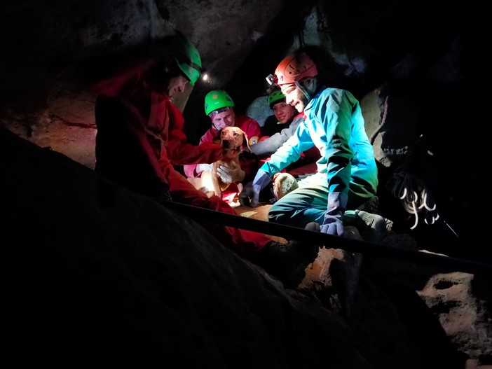 Plodio, cane da caccia cade in una tana profonda dieci metri: Laika salvata dal Soccorso Alpino (FOTO)
