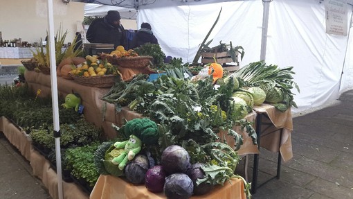 L'Assessore Mai contro l'accordo commerciale tra Ue e Canada: "Si apre a prodotti OGM"