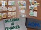 Aeroporto di Villanova, non dichiara 12 mila euro vinti al Casinò di Montecarlo: cittadino britannico fermato da ADM e Finanza