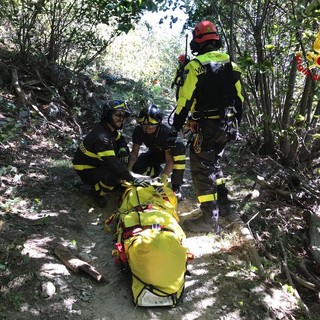 immagine di repertorio