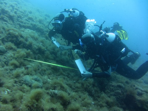 Sub per tutti a Bergeggi: immersioni di solidarietà per AltroDomani