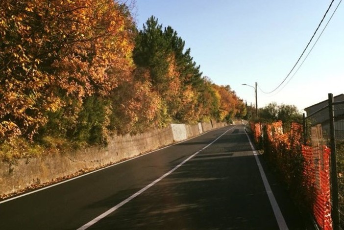 Il rettilineo della Sp4 oggetto della segnalazione Il rettilineo della Sp4 oggetto della segnalazione