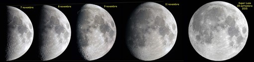 Il 14 novembre arriva la Super Luna Il 14 novembre arriva la Super Luna