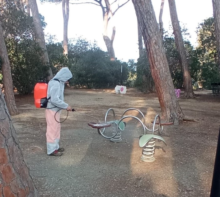 Cinghiali in pineta a Celle, sanificata l'area giochi: riaperta l'area