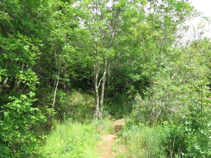 Immagine di repertorio