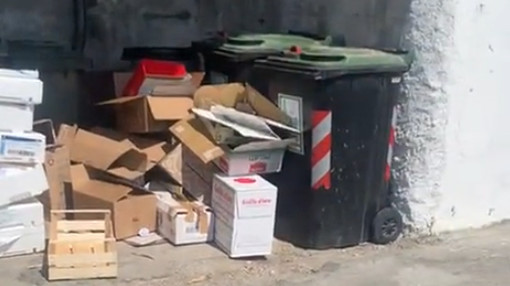 Sporcizia vicino alle spiagge a Spotorno: "In alcuni tratti sembra una discarica" Sporcizia vicino alle spiagge a Spotorno: "In alcuni tratti sembra una discarica"