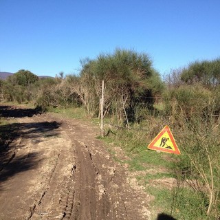 Disboscamento a San Bernardino: FinaleOutdoor Resort vuole vederci chiaro