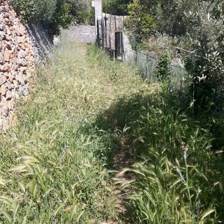 Ceriale, Giordano: “Salviamo e riscopriamo la fonte Anthia”