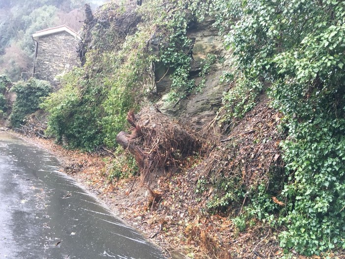 immagine di repertorio