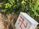 "Albenga non è razzista", ma qualcuno disegna svastiche in Regione Antognano