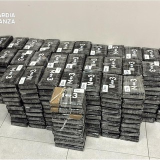 340 chili di cocaina nascosti tra i platani: sequestro al porto di Vado (FOTO e VIDEO)