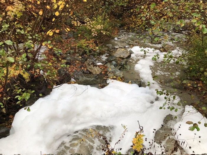 Cairo, schiuma bianca nel rio Loppa (FOTO e VIDEO)