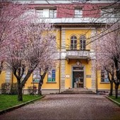 Altare, 100mila euro per il consolidamento del solaio del primo piano della scuola "Capasso" Altare, 100mila euro per il consolidamento del solaio del primo piano della scuola "Capasso"