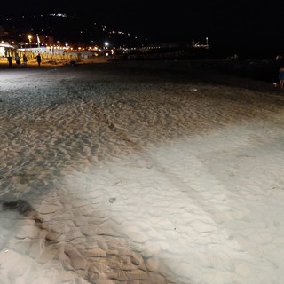 Ripascimenti notturni e all’alba sulle spiagge libere di Andora comune e stabilimenti balneari all’opera  su tutto sul litorale