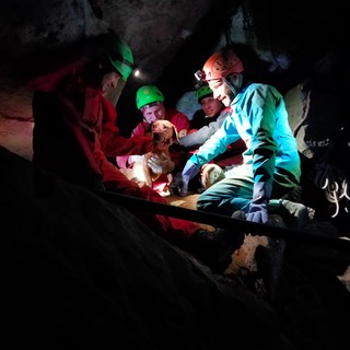 Plodio, cane da caccia cade in una tana profonda dieci metri: Laika salvata dal Soccorso Alpino (FOTO)