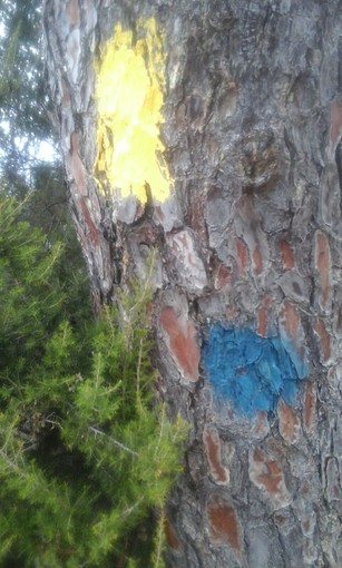 Finale Ligure, l'ira di Danilo Basso: "Dico no agli scienziati dell'outdoor"