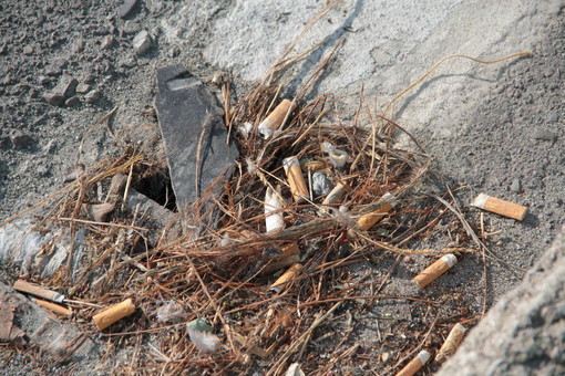 Giornata Nazionale del Mare: 100 portacenere tascabili in omaggio presso Assonautica Savona