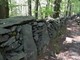Alpicella di Varazze: escursione nel sito archeologico di “Rocca Due Teste” con concerto nel bosco