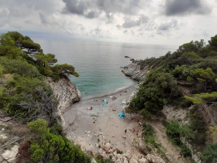 Bergeggi, individuato l'autore del lancio del cassonetto sulla spiaggia: è un 17enne (FOTO e VIDEO) Bergeggi, individuato l'autore del lancio del cassonetto sulla spiaggia: è un 17enne (FOTO e VIDEO)