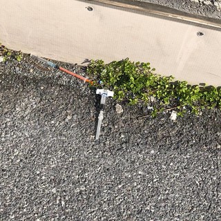 Savona, trovate delle siringhe nei pressi della stazione Mongrifone
