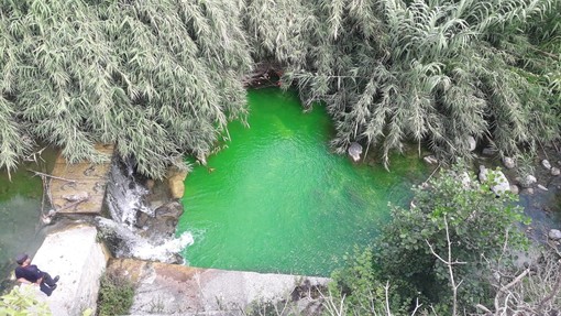 Toirano, le acque del Varatella diventano verdi: accertamenti in corso (FOTO)