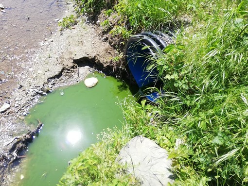 Liquami nel fiume, Impegno per Carcare: "Non c'è limite al peggio, sversamento dovuto alla pulizia della piscina comunale" Liquami nel fiume, Impegno per Carcare: "Non c'è limite al peggio, sversamento dovuto alla pulizia della piscina comunale"