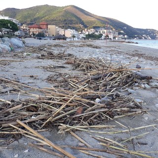 Materiale spiaggiato a Spotorno, i consiglieri Spiga e Bonasera: "C'era un rischio di ostruzione dei ponti"