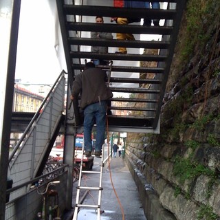 Liguria,Palmieri: &amp;quot;Un altro punto per il Comitato Pendo