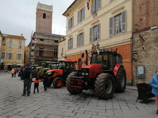 Albenga: festa di Sant'Isidoro, i buoi traineranno la statua del patrono degli agricoltori Albenga: festa di Sant'Isidoro, i buoi traineranno la statua del patrono degli agricoltori