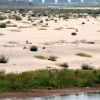 Richiesto stato di calamità per siccità della scorsa primavera ed estate