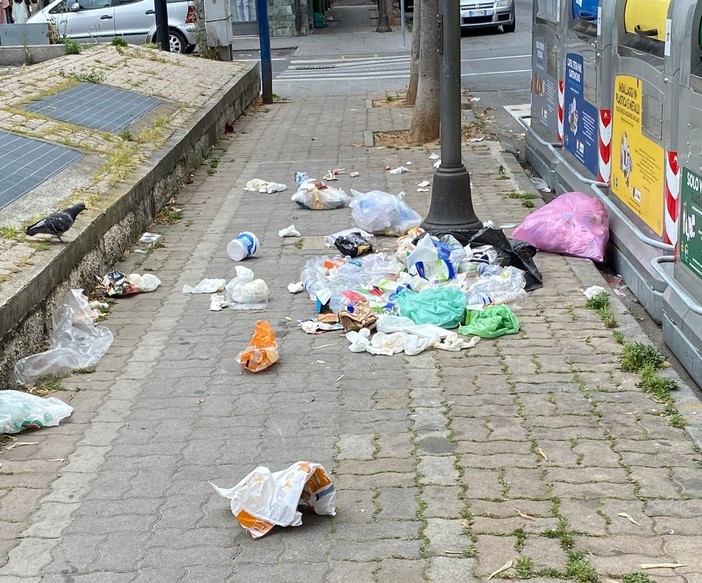 Albenga, Tomatis (FdI): "Spazzatura dentro e fuori dai contenitori, inizia l’estate e il decoro va tutelato" Albenga, Tomatis (FdI): "Spazzatura dentro e fuori dai contenitori, inizia l’estate e il decoro va tutelato"