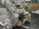 Finale, ancora non riposizionata la statua del poeta Ganduglia. Guzzi: “Due anni nei magazzini comunali, mancanza di rispetto”