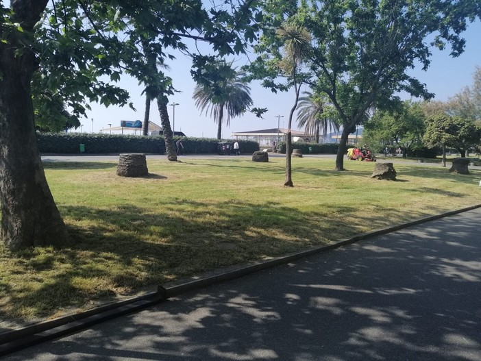 Savona, terminati i lavori di permeabilizzazione dei vialetti di parco "Dante Alighieri" e del prolungamento (FOTO) Savona, terminati i lavori di permeabilizzazione dei vialetti di parco "Dante Alighieri" e del prolungamento (FOTO)