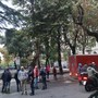 Savona, giardini di Piazza del Popolo chiusi per sicurezza, mercato dei produttori locali trasferito sotto i portici Savona, giardini di Piazza del Popolo chiusi per sicurezza, mercato dei produttori locali trasferito sotto i portici